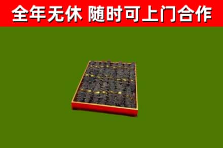 樊城回收海参